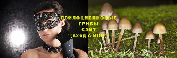 мдпв Беломорск