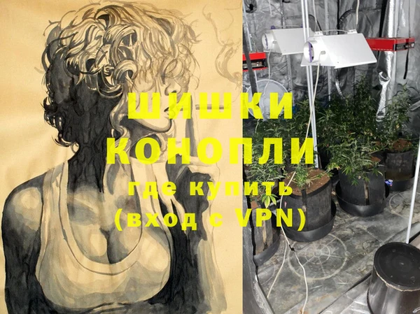 спиды Богданович