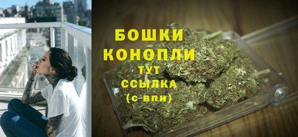 амф Белокуриха