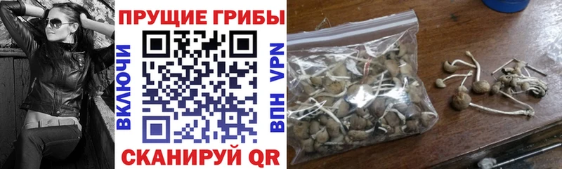 Псилоцибиновые грибы Cubensis  Плёс 